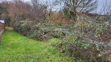 Terrain a batir a vendre Bart 25420 Doubs 3700 m2  99000 euros