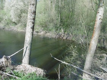 Terrains de loisirs bois etangs a vendre Pont-Farcy 50420 Manche 3960 m2  11000 euros