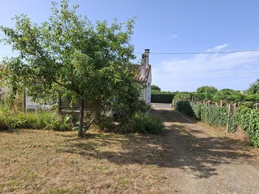 Maison a vendre Nancras 17600 Charente-Maritime 69 m2 4 pièces 145839 euros