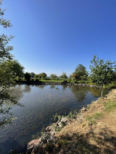 Maison a vendre Mazières-en-Mauges 49280 Maine-et-Loire 171 m2 8 pièces 344550 euros
