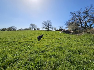 Maison a vendre Erdeven 56410 Morbihan 103 m2 5 pièces 249486 euros