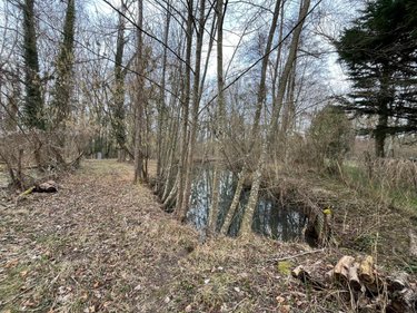 Terrains de loisirs bois etangs a vendre Ferrières-en-Gâtinais 45210 Loiret 3758 m2  34000 euros