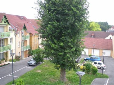 Location appartement Corbie 80800 Somme 76 m2 3 pièces 735 euros