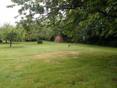 Maison a vendre Valorbiquet 14290 Calvados 120 m2 4 pièces 240200 euros