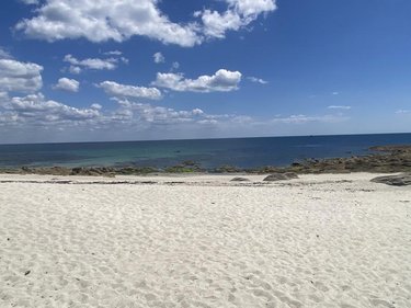 Terrain a batir a vendre Loctudy 29750 Finistère 814 m2  272000 euros