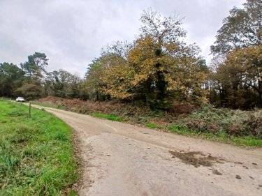Terrains de loisirs bois etangs a vendre Allaire 56350 Morbihan 7515 m2  9600 euros