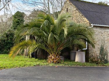 Maison a vendre Guidel 56520 Morbihan 257 m2 8 pièces 795915 euros