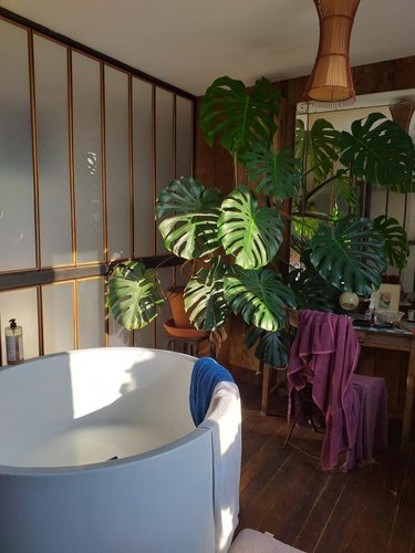 Maison a vendre Ambon 56190 Morbihan 157 m2 5 pièces 670872 euros