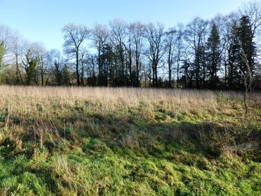 Terrains de loisirs bois etangs a vendre Locmalo 56160 Morbihan 4900 m2  26650 euros