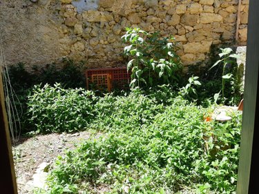 Maison a vendre L'Isle-de-Noé 32300 Gers 300 m2 9 pièces 75000 euros