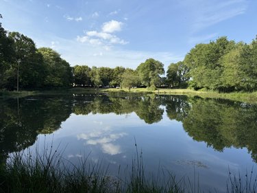 Terrains de loisirs bois etangs a vendre Merdrignac 22230 Côtes-d'Armor 19226 m2  64500 euros