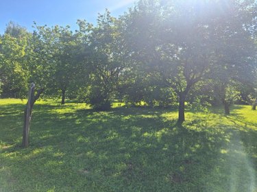 Terrain a batir a vendre Savigné-l'Évêque 72460 Sarthe 638 m2  94500 euros