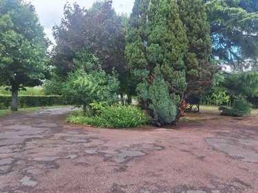Terrain a batir a vendre Savigné-l'Évêque 72460 Sarthe 1240 m2  126000 euros