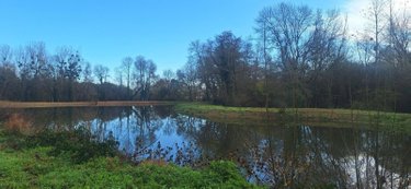 Terrain a batir a vendre Yvré-l'Évêque 72530 Sarthe 14299 m2  42000 euros