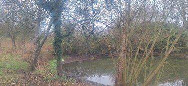 Maison a vendre Beaufay 72110 Sarthe 65 m2 2 pièces 84000 euros