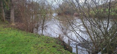 Terrain a batir a vendre Juillé 72170 Sarthe 1601 m2  34650 euros