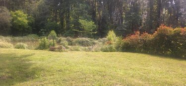 Terrain a batir a vendre Torcé-en-Vallée 72110 Sarthe 6950 m2  28200 euros