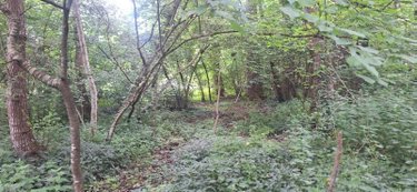 Terrain a batir a vendre Torcé-en-Vallée 72110 Sarthe 6950 m2  28200 euros