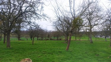 Terrain a batir a vendre Valdallière 14410 Calvados 2317 m2  37700 euros