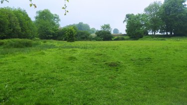 Terrain a batir a vendre Tinchebray Bocage 61800 Orne 19903 m2  24500 euros
