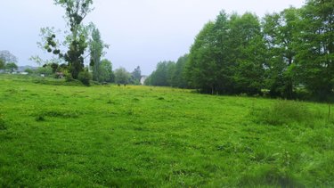 Terrain a batir a vendre Tinchebray Bocage 61800 Orne 19903 m2  24500 euros