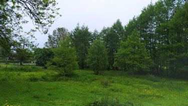 Terrain a batir a vendre Tinchebray Bocage 61800 Orne 19903 m2  24500 euros