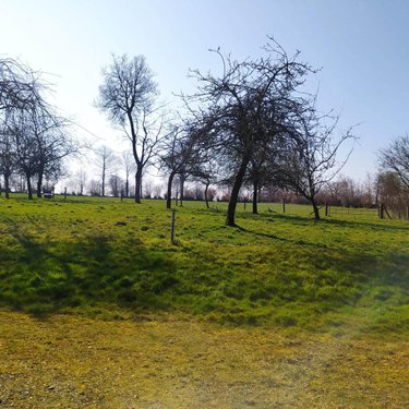 Maison a vendre Tinchebray Bocage 61800 Orne 102 m2 5 pièces 120000 euros
