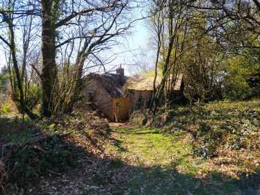 Maison a vendre Chanu 61800 Orne 131 m2 4 pièces 90000 euros