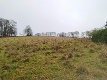 Maison a vendre Ger 50850 Manche 100 m2 4 pièces 150000 euros