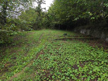 Maison a vendre Roannes-Saint-Mary 15220 Cantal 159 m2 7 pièces 95400 euros