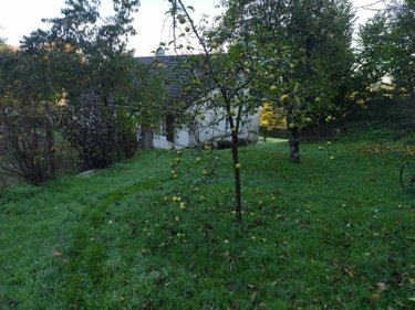 Maison a vendre Vitrac 15220 Cantal 65 m2 3 pièces 95400 euros