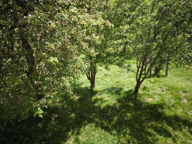 Maison a vendre Saint-Constant-Fournoulès 15600 Cantal 127 m2 6 pièces 139700 euros