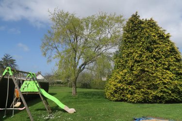 Location maison Bricquebec-en-Cotentin 50260 Manche 119 m2 4 pièces 950 euros