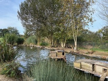 Maison a vendre Peumerit 29710 Finistère 269 m2 14 pièces 668220 euros