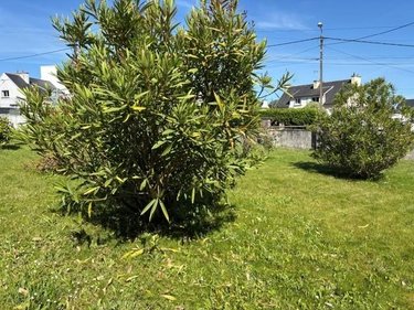 Maison a vendre Quimper 29000 Finistère 91 m2 8 pièces 192000 euros