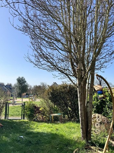 Maison a vendre La Chapelle-des-Fougeretz 35520 Ille-et-Vilaine 6 pièces 278720 euros