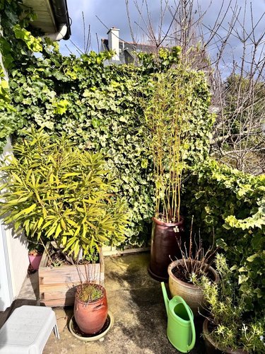 Maison a vendre Saint-Malo 35400 Ille-et-Vilaine 130 m2  551200 euros