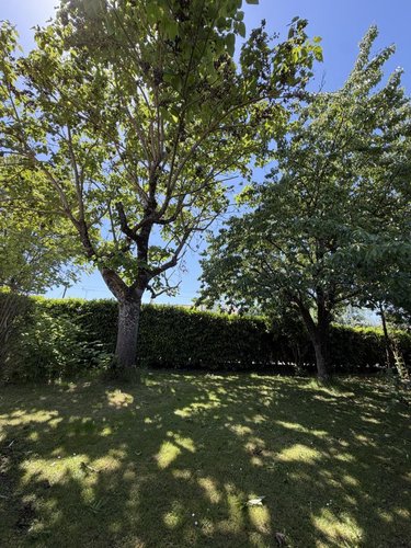 Maison a vendre Cholet 49300 Maine-et-Loire 150 m2 6 pièces 210000 euros