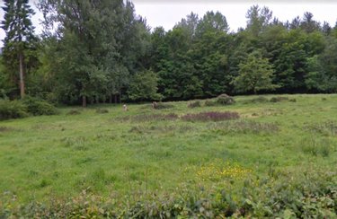 Terrain a batir a vendre Fressin 62140 Pas-de-Calais 2135 m2  31000 euros