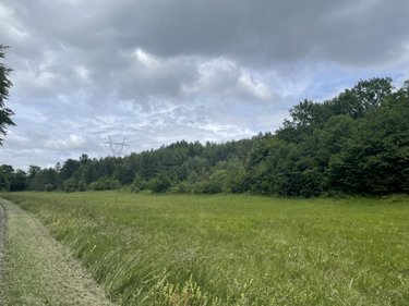 Terrains de loisirs bois etangs a vendre Aromas 39240 Jura 128600 m2  160000 euros