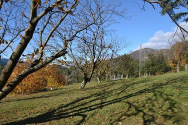 Maison a vendre Joannas 07110 Ardèche 77 m2 4 pièces 215000 euros