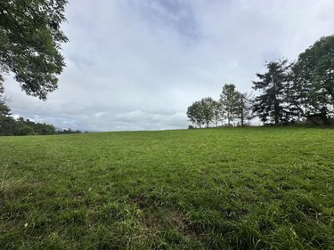 Terrain a batir a vendre Anglards-de-Saint-Flour 15100 Cantal 1399 m2  30000 euros