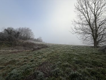 Terrain a batir a vendre Romain 51140 Marne 689 m2  70000 euros