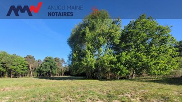 Terrains de loisirs bois etangs a vendre Courtillers 72300 Sarthe 7256 m2  6000 euros
