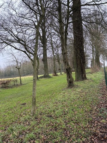 Terrain a batir a vendre Mailly-Maillet 80560 Somme 1038 m2  32000 euros