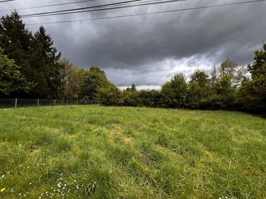 Terrain a batir a vendre Seigy 41110 Loir-et-Cher 3930 m2  33000 euros