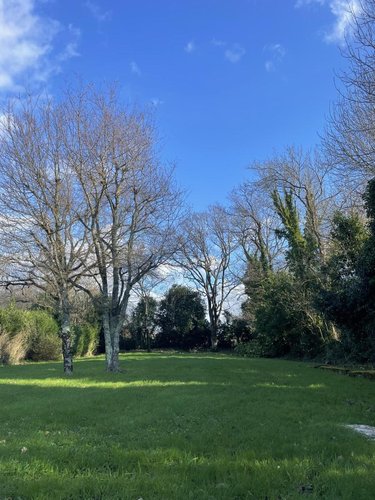 Terrain a batir a vendre Sarzeau 56370 Morbihan 719 m2  208900 euros