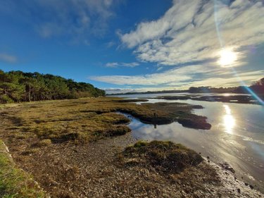 Terrain a batir a vendre Plouhinec 56680 Morbihan 692 m2  144400 euros