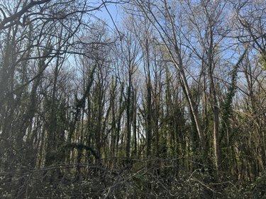 Divers a vendre Saint-Georges-de-Pointindoux 85150 Vendée 50 m2  115300 euros