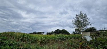Maison a vendre Malguénac 56300 Morbihan 115 m2 6 pièces 198280 euros